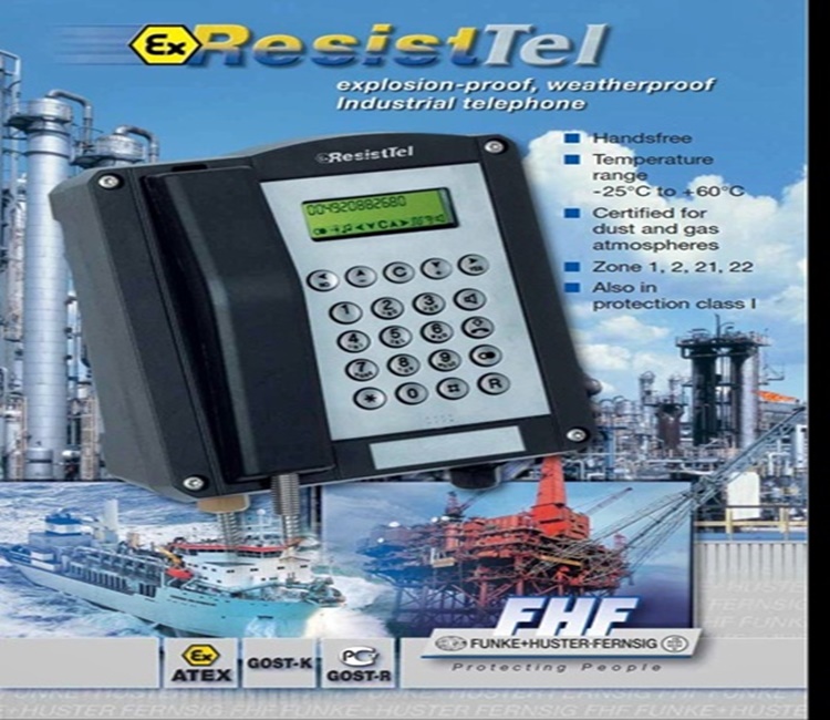 FHF11286201